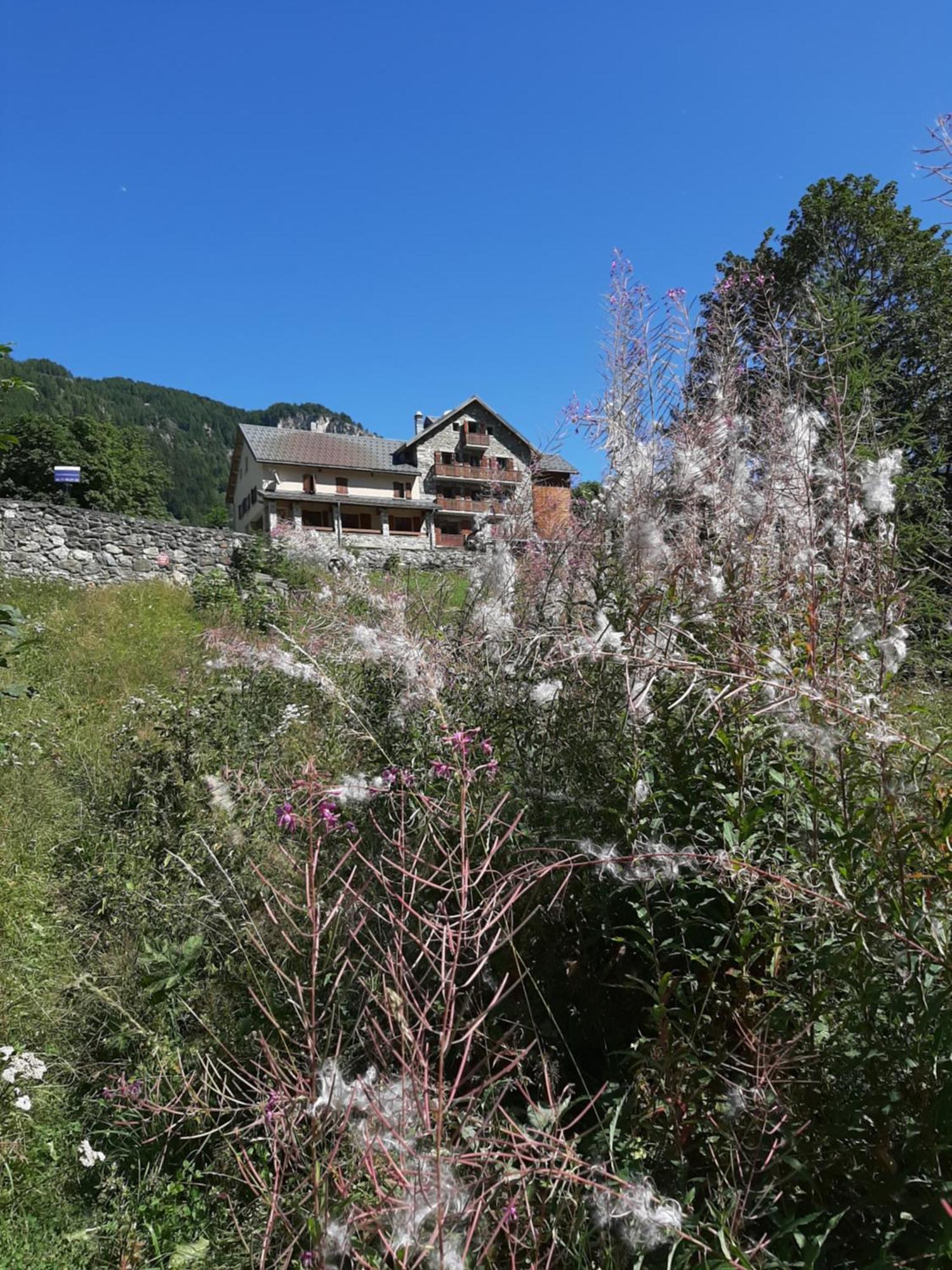 Hotel Chalet Du Bon Air Peisey-Nancroix Exterior foto